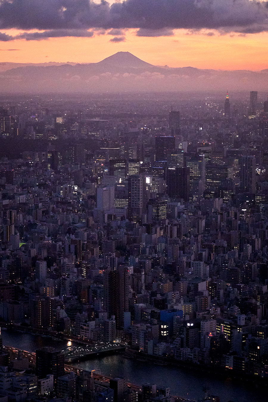 Japón I